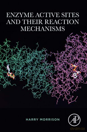 Enzyme Active Sites and their Reaction Mechanisms - Harry Morrison [KSIĄŻKA]