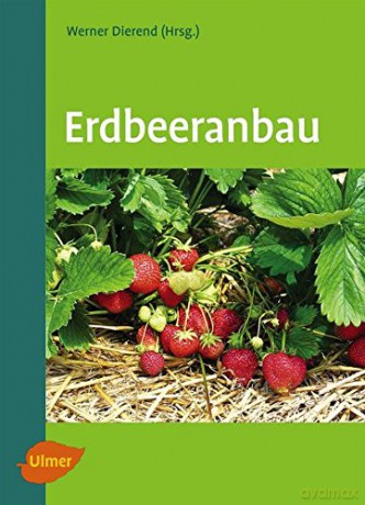 Erdbeeranbau - Erika Krüger-Steden [KSIĄŻKA]