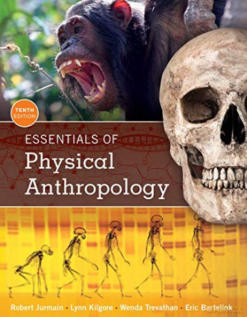 Essentials of Physical Anthropology - Eric Bartelink [KSIĄŻKA]