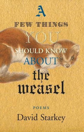 A Few Things You Should Know About The Weasel - David Starkey [KSIĄŻKA]
