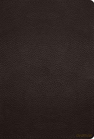 ESV Large Print Compact Bible, Buffalo Leather - Esv [KSIĄŻKA]