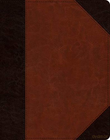 ESV Single Column Journaling Bible - Crossway [KSIĄŻKA]