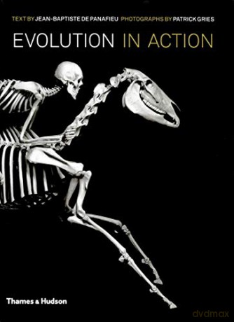 Evolution in Action: Natural History through Spectacular Skeletons - Jean-Baptiste de Panafieu [KSIĄŻKA]