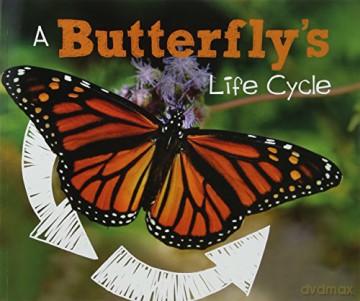 Explore Life Cycles: A Butterfly's Life Cycle - Mary R. Dunn [KSIĄŻKA]