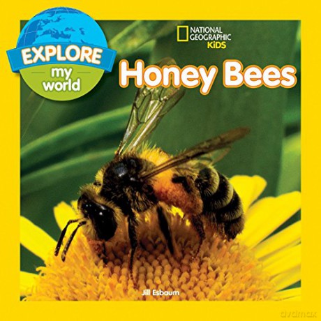 Explore My World: Honey Bees - Jill Esbaum [KSIĄŻKA]