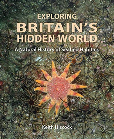 Exploring Britain's Hidden World: A Natural History of Seabed Habitats Wild Nature Press - Keith Hiscock [KSIĄŻKA]