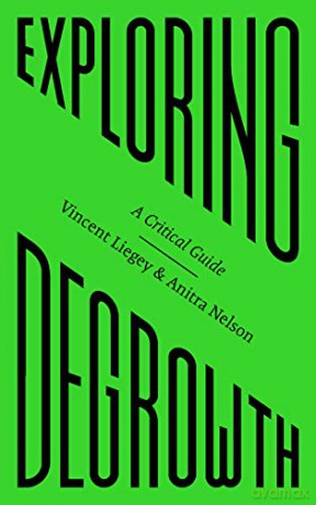 Exploring Degrowth: A Critical Guide FireWorks - Vincent Liegey [KSIĄŻKA]