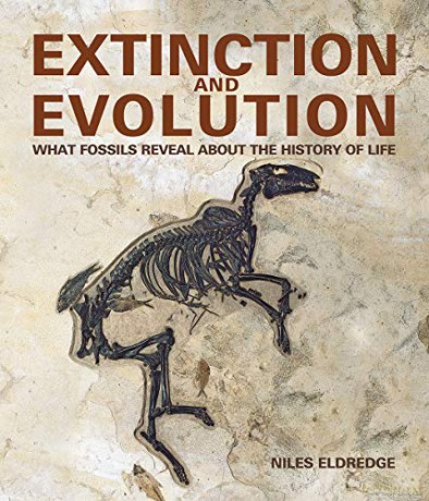 Extinction and Evolution: What Fossils Reveal about the History of Life - Niles Eldredge [KSIĄŻKA]