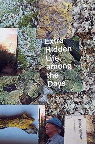Extra Hidden Life, among the Days - Brenda Hillman [KSIĄŻKA]