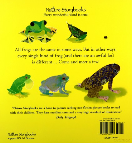 Fabulous Frogs: 1 - Martin Jenkins [KSIĄŻKA]