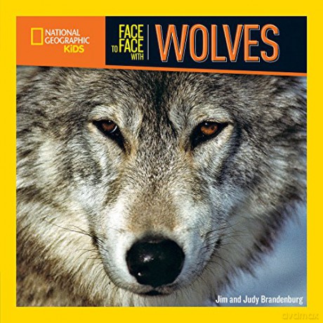 Face to Face with Wolves - National Geographic Kids [KSIĄŻKA]