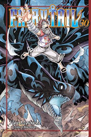 Fairy Tail 30 - Hiro Mashima [KSIĄŻKA]