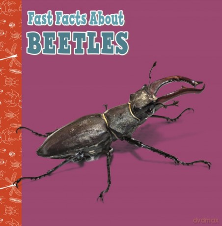 Fast Facts About Beetles Fast Facts About Insects and Spiders - Julia Garstecki [KSIĄŻKA]