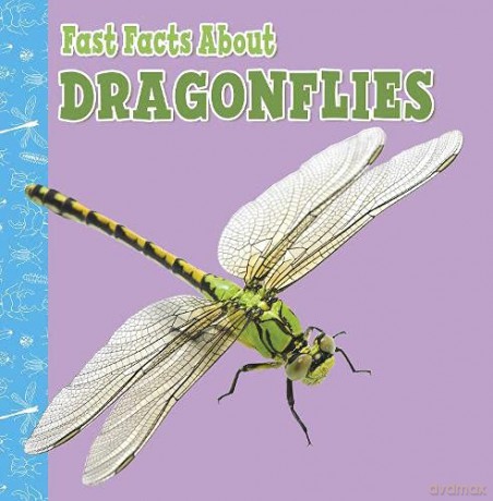 Fast Facts About Dragonflies Fast Facts About Insects and Spiders - Julia Garstecki [KSIĄŻKA]