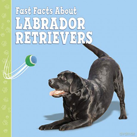 Fast Facts About Labradors Fast Facts About Dogs - Marcie Aboff [KSIĄŻKA]