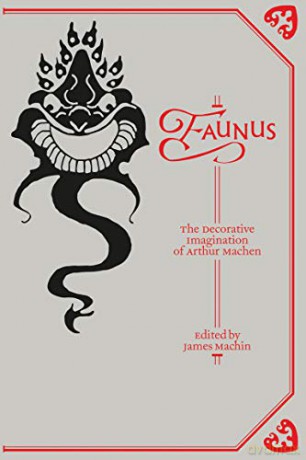 Faunus: The Decorative Imagination of Arthur Machen Strange Attractor Press - James Machin [KSIĄŻKA]