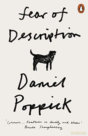 Fear of Description - Daniel Poppick [KSIĄŻKA]