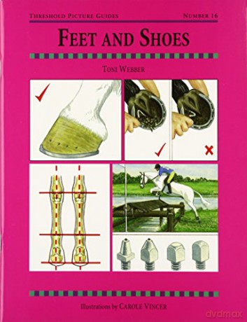 Feet and Shoes: PG 16 Threshold Picture Guide - Toni Webber [KSIĄŻKA]