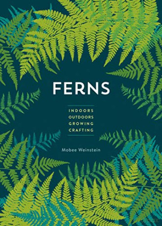 Ferns: Indoors - Outdoors - Growing - Crafting - Mobee Weinstein [KSIĄŻKA]
