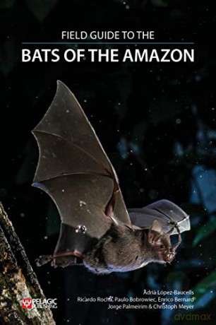 Field Guide to the Bats of the Amazon Bat Biology and Conservation - Adria Lopez-Baucells [KSIĄŻKA]