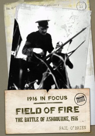 Field of Fire: The Battle of Ashbourne, 1916: 2 1916 in Focus - Paul O'Brien [KSIĄŻKA]