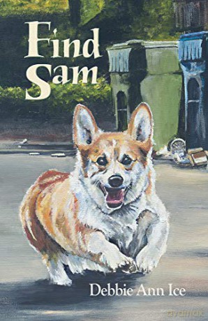 Find Sam - Debbie Ann Ice [KSIĄŻKA]