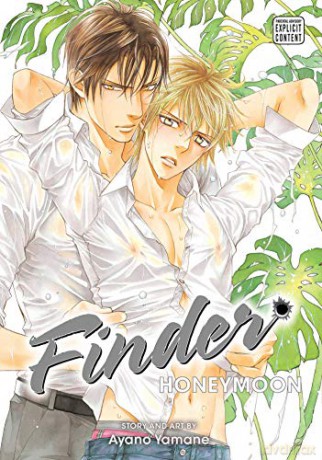 Finder Deluxe Edition: Honeymoon, Vol. 10: Volume 10 - Ayano Yamane [KSIĄŻKA]