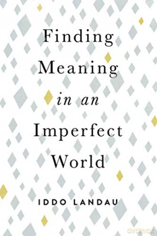 Finding Meaning in an Imperfect World - Iddo Landau [KSIĄŻKA]