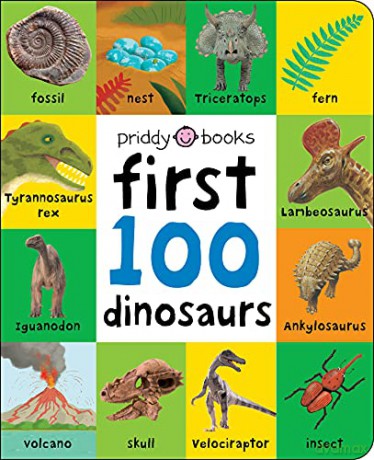 First 100 Dinosaurs UK Edition First 100 Soft To Touch - Roger Priddy [KSIĄŻKA]