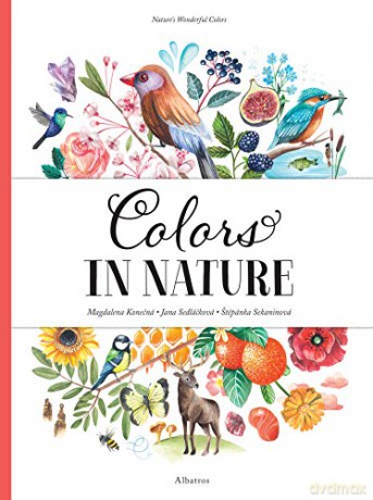 Colors In Nature (Nature's Wonderful Colors) - Stepanka Sekaninova [KSIĄŻKA]