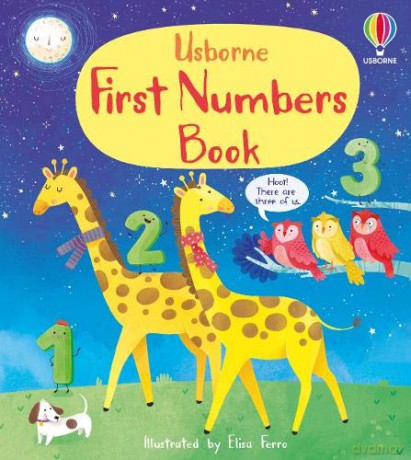 First Numbers First Concepts - Cartwright Mary [KSIĄŻKA]