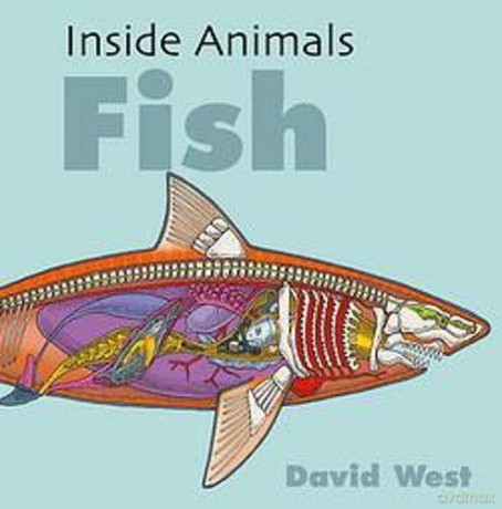 Fish Inside Animals - David West [KSIĄŻKA]
