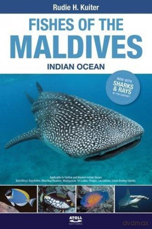 Fishes of the Maldives: Indian Ocean - Rudie H. Kuiter [KSIĄŻKA]