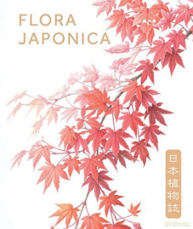 Flora Japonica - Masumi Yamanaka [KSIĄŻKA]