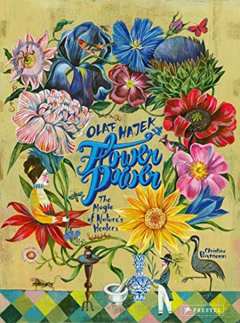 Flower Power: The Magic of Nature's Healers - Christine Paxmann [KSIĄŻKA]