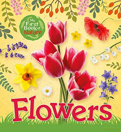 Flowers My First Book of Nature - Victoria Munson [KSIĄŻKA]
