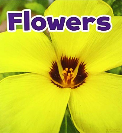 Flowers Plant Parts - Marissa Kirkman [KSIĄŻKA]