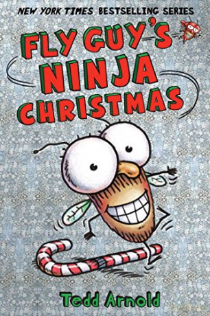 Fly Guy's Ninja Christmas Fly Guy #16, 16 - Tedd Arnold [KSIĄŻKA]