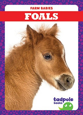 Foals Farm Babies [KSIĄŻKA]