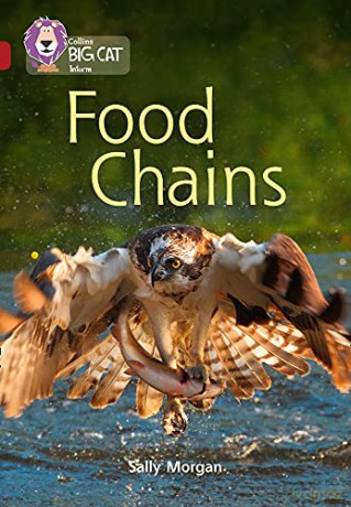 Food Chains: Band 14/Ruby Collins Big Cat - Sally Morgan [KSIĄŻKA]