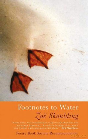 Footnotes to Water - Zoe Skoulding [KSIĄŻKA]