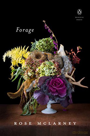 Forage Penguin Poets - Rose Mclarney [KSIĄŻKA]