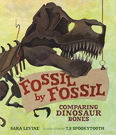 Fossil by Fossil: Comparing Dinosaur Bones Animal by Animal - Sara Levine [KSIĄŻKA]