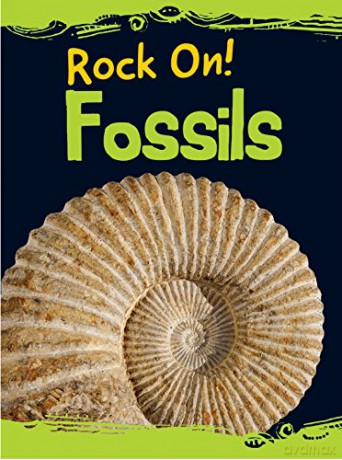 Fossils Raintree Perspectives: Rock on! - Chris Oxlade [KSIĄŻKA]