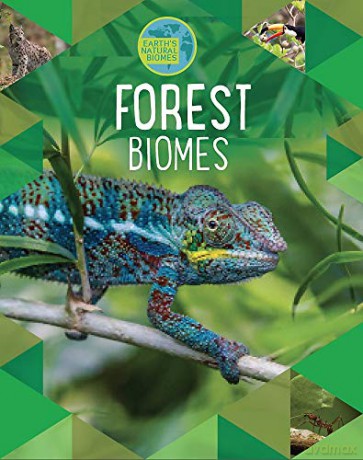 Forests (Earth's Natural Biomes) - Richard Spilsbury [KSIĄŻKA]