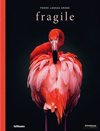 Fragile: Pedro Jarque Krebs - Pedro Jarque Krebs [KSIĄŻKA]