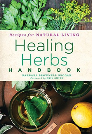 Healing Herbs Handbook (Remedies For Natural Living): Recipes For Natural Living: 3 - Sandra Martin [KSIĄŻKA]