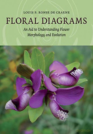Floral Diagrams: An Aid To Understanding Flower Morphology And Evolution [KSIĄŻKA]