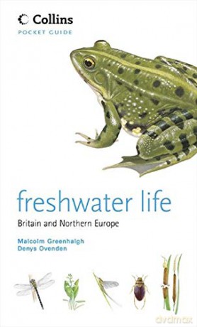 Freshwater Life Collins Pocket Guide - Malcolm Greenhalgh [KSIĄŻKA]