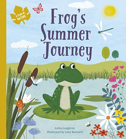 Frog's Summer Journey A Year In Nature - Anita Loughrey [KSIĄŻKA]